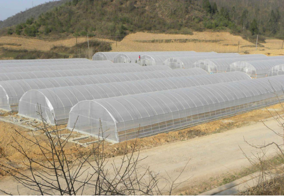 Tunnel Greenhouse 1.1