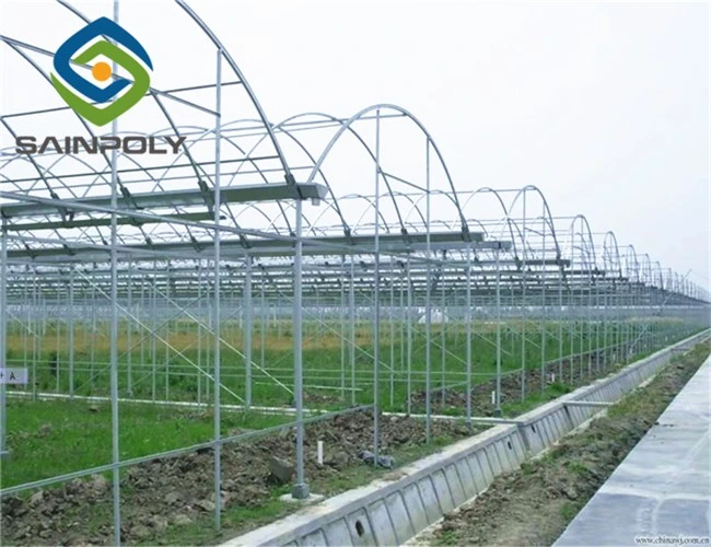 Greenhouse Frame