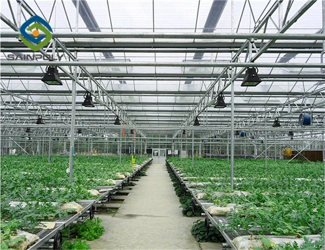 Greenhouse Frame