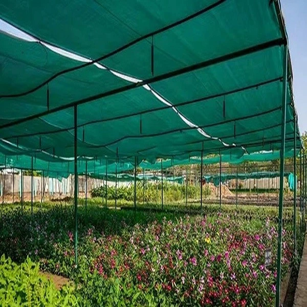product-600-600 product-600-600
